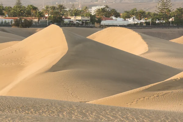 Dune di sabbia sulla spiaggia di Maspalomas, Gran Canaria — Foto Stock