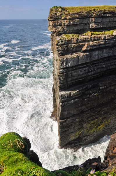 Lus hoofd kliffen, Ierland — Stockfoto