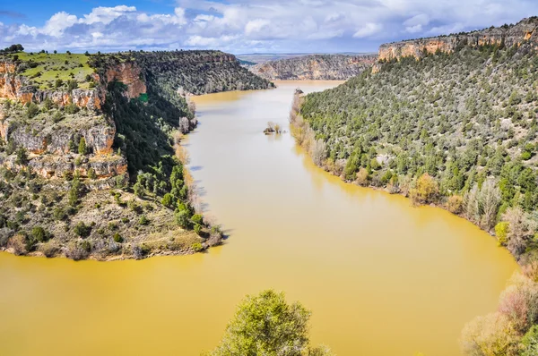 Duraton Kanyon Tabiat Parkı Segovia, İspanya — Stok fotoğraf