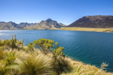 Caricocha Mojanda göllerde, Ecuador