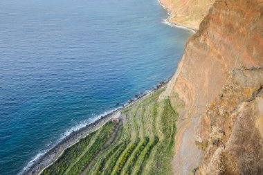 Cabo Girao cliff, Madeira Adası (Portekiz altında tarımsal ürün)