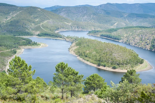 Meandrze rzeki alagon, Estremadura (Hiszpania) — Zdjęcie stockowe