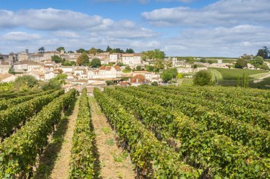saint-emilion, Fransa mahzeninde