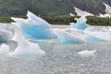빙산, 알래스카와 portage 호수