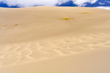 Büyük kum tepeleri Milli Park ve koru, Colorado (ABD)