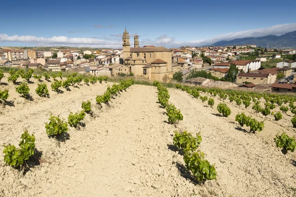 Weinberg und Stadt elciego, rioja alavesa (Spanien) — Stockfoto