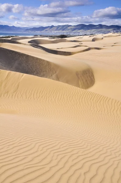 Oceano sanddyner naturliga Preserve, Kalifornien (Usa) — Stockfoto