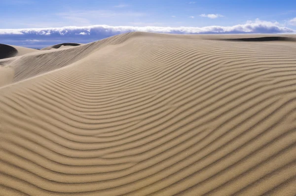 Oceano Dunes Natural Preserve, Califórnia (Estados Unidos da América ) — Fotografia de Stock