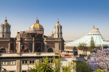 Tapınak Our Lady of Guadalupe Mexico City