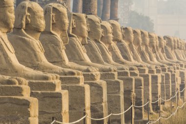 Avenue of the Sphnixs, Luxor Temple, Egypt clipart