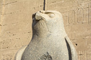 Edfu Tapınağı, Mısır, Horus heykelinin