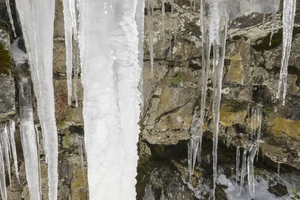 Icicles over a cliff, Cebollera range, La Rioja (Spain) — Stock Photo, Image