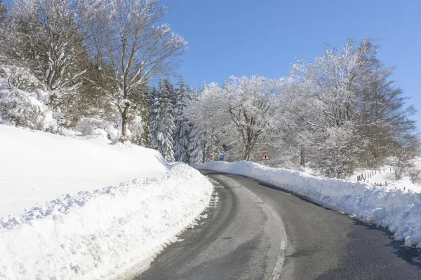 Straße durch verschneiten Wald, Baskenland (Spanien) — Stockfoto