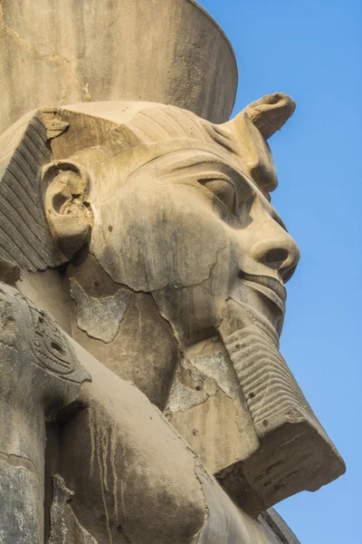 Luksor Tapınağı, Mısır, Ramses II başkanı — Stok fotoğraf