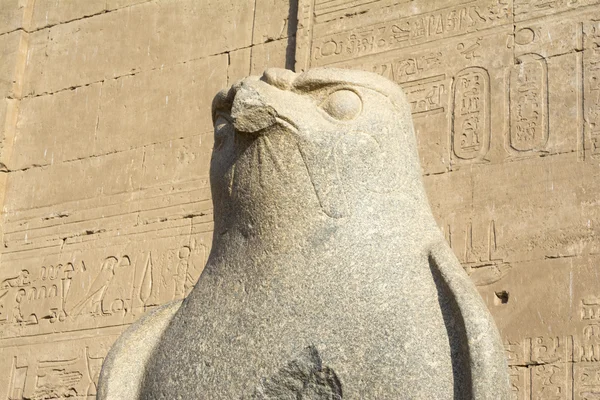 Het standbeeld van Horus in Edfu tempel, Egypte — Stockfoto