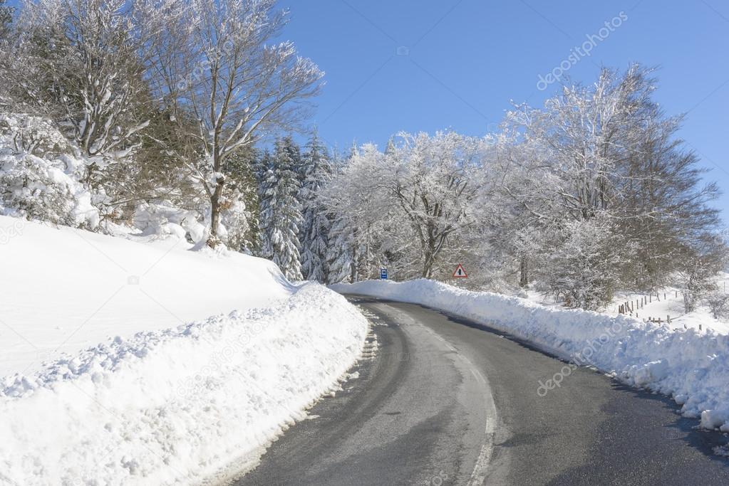 Road through snowy forest, Basque Country (Spain)