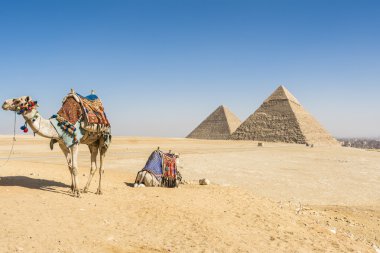 Giza, Mısır piramitleri genel görünümü