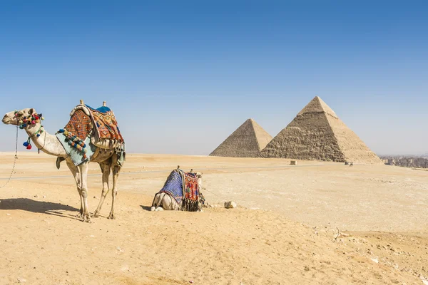 Algemeen beeld van de piramides van Giza, Egypte — Stockfoto