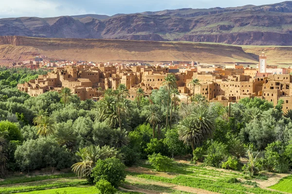 Town and oasis of Tinerhir, Morocco Royalty Free Stock Images