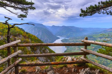Banjska stena viewpoint at Tara National Park, Serbia clipart
