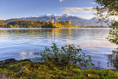 Kilise Adası'Lake Bled, Slovenya