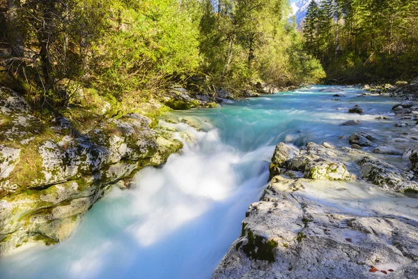 素晴らしい渓谷のソカ川、スロベニア — ストック写真