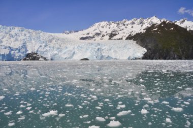 Aialik glacier, Kenai Fjords National Park, Alaska clipart