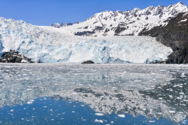 Aialik Buzulu, Kenai Fjords Milli Parkı, Alaska