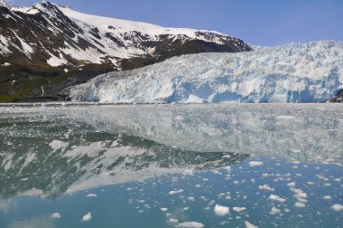 Aialik Buzulu, Kenai Fjords Milli Parkı, Alaska