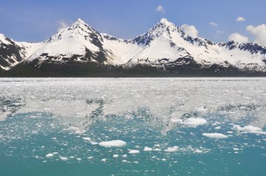 Aialik bay, Kenai Fjords national park (Alaska) clipart