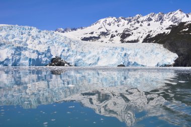 Aialik Buzulu, Kenai Fjords Milli Parkı, Alaska