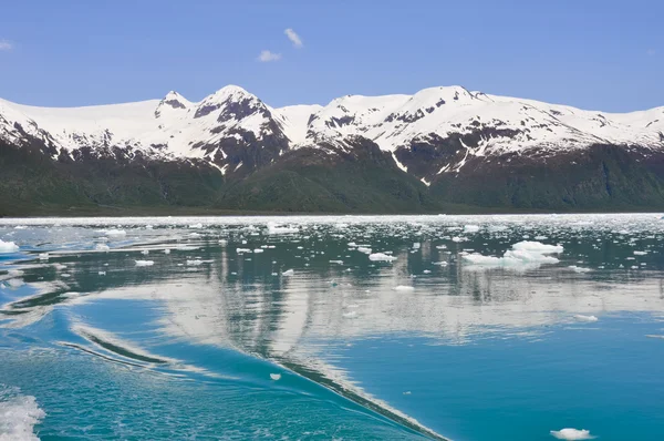 Bahía de Aialik, Parque Nacional Kenai Fjords (Alaska ) — Foto de Stock