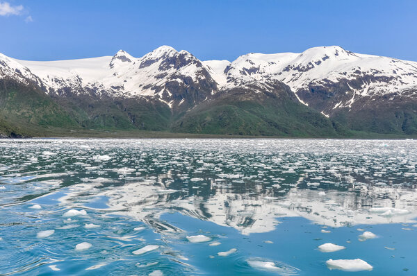 Aialik bay, Kenai Fjords national park (Alaska)