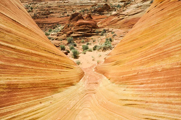The Wave, sandstone in Coyote Buttes North (Arizona) — Stock Photo, Image