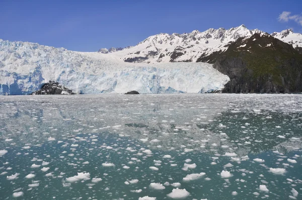 Aialik glacier, Kenai Fjords National Park, Alaska Royalty Free Stock Images