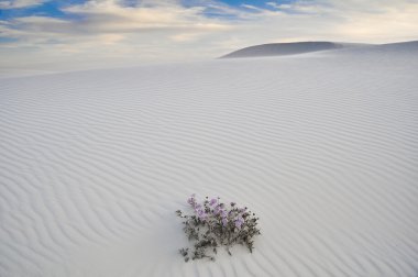 Beyaz kumları Ulusal Anıtı, new mexico, ABD