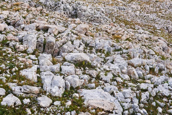 山岳地帯の風化構造 石灰岩舗装 高山草原の草の間の白い岩と呼ばれる — ストック写真