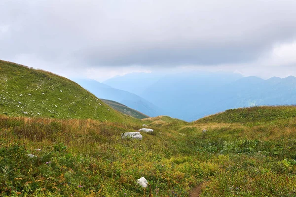 Almwiesen Des Kaukasus Einem Bewölkten Herbsttag Mit Blick Auf Ein — Stockfoto