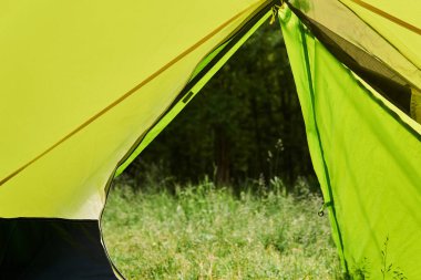 Yürüyüş kubbesinden yaz mevsiminde ormana açık bir girişe doğru bir manzara.