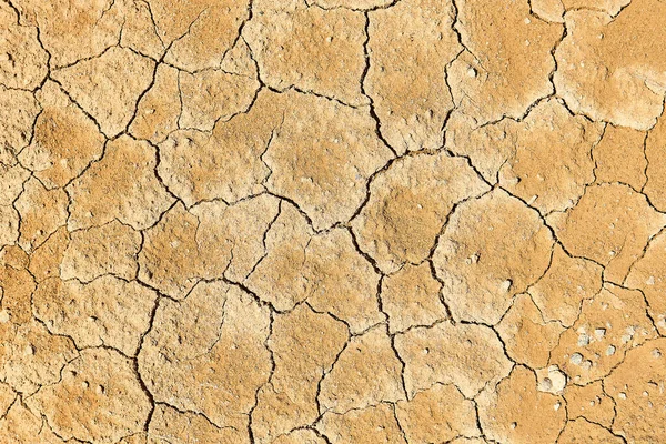 background, texture - dry clay soil with mudcracks