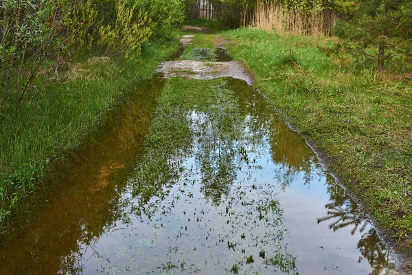 Ruts Dirt Road River Floodplain Water Spring Flood — Stock Photo, Image