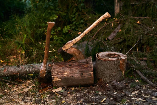 Two Old Wood Chopping Axes Stuck Tree Stump Outdoors — Stock Photo, Image