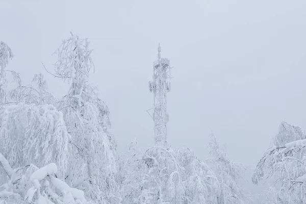 Pokryta Lodem Wieża Komórkowa Nad Zaśnieżonym Lasem Szczycie Góry Przeciwko — Zdjęcie stockowe