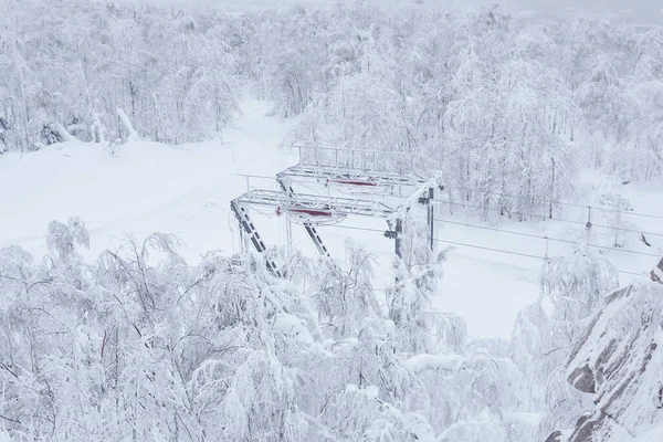Kayak Asansörünün Son Kulesi Karla Kaplı Bir Yamaçta Buzlu Ağaçların — Stok fotoğraf
