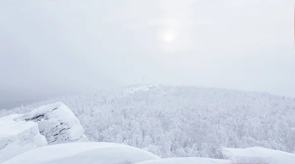 Kış Manzarası Dağın Tepesinden Karlı Ağaçlık Tepelere Kadar Soğuk Siste — Stok fotoğraf