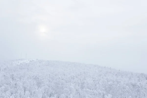 Vista Invierno Las Colinas Nevadas Arboladas Niebla Helada Distancia Las — Foto de Stock