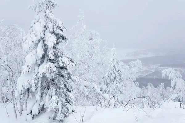 Заснеженные Зимние Горные Леса Вершине Далекий Ландшафт Скрывающийся Морозном Тумане — стоковое фото
