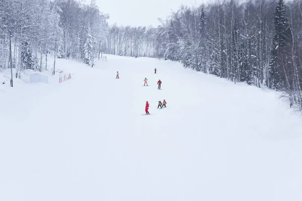 Perm Krai Rusland Januari 2021 Skiërs Rijden Een Bosskipiste — Stockfoto