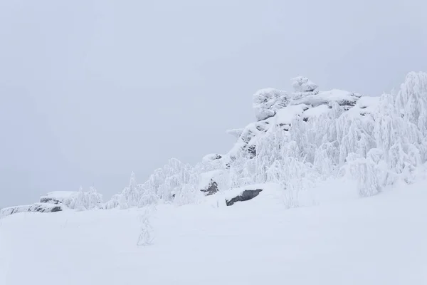Ośnieżone Skały Mroźne Drzewa Przełęczy Górskiej Zimie — Zdjęcie stockowe