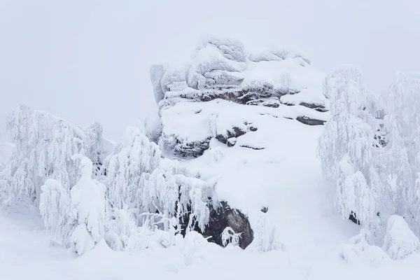 Snow Covered Rock Frost Covered Trees Mountain Pass Winter — Stock Photo, Image